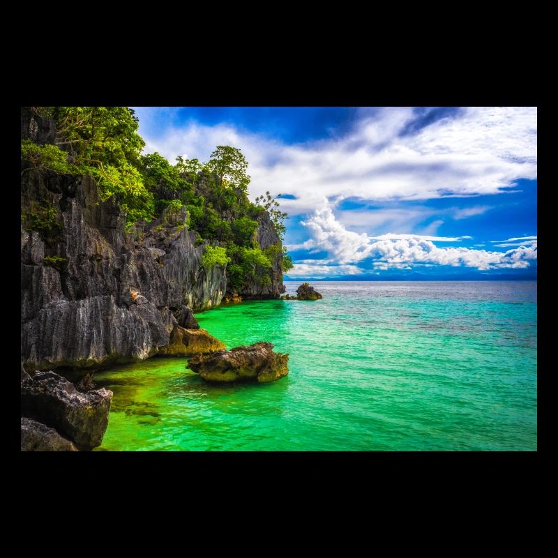 PARADISE COAST