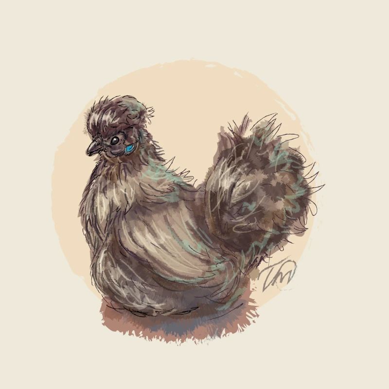 Poule en soie marron
