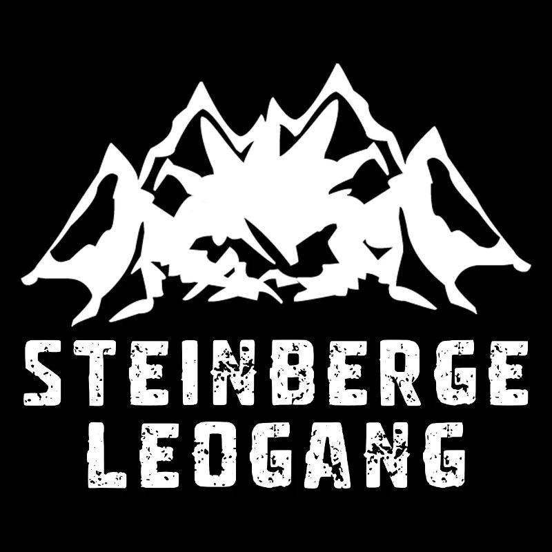 Steinberge Leogang Steinernes Meer Österreich