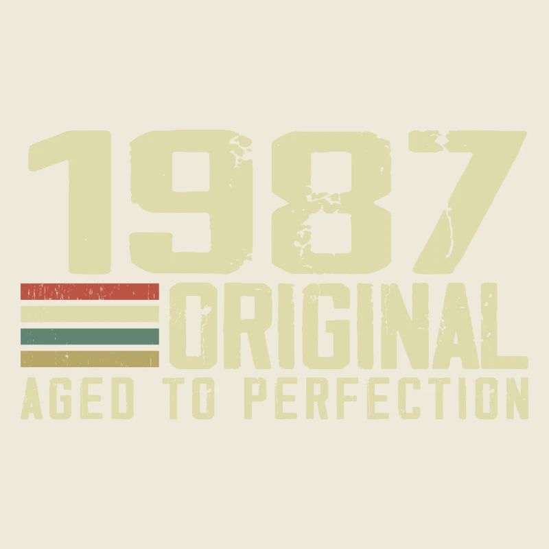 Né en 1987 - Vintage 1987 - 37e Anniversaire Rétro