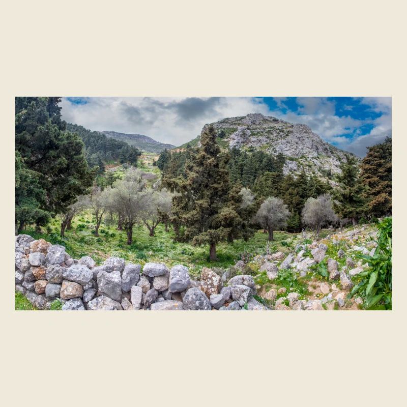 ruines du château médiéval Palio Pyli Kos