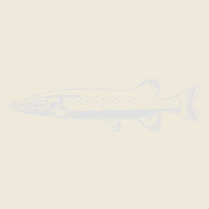 Brochet