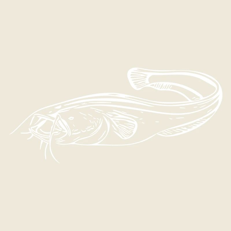 Poisson-chat - pêcheur