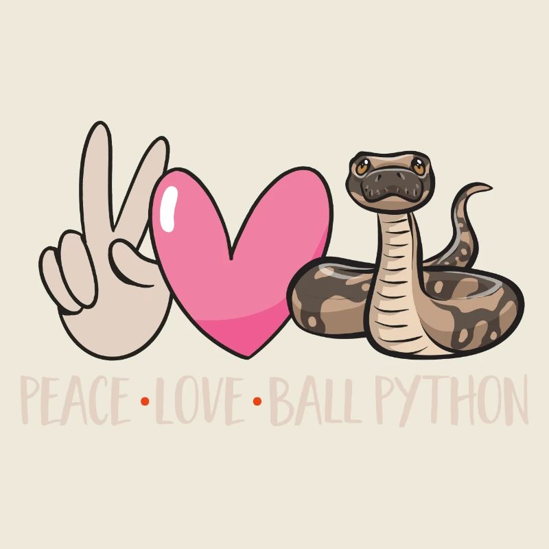 Ball Python Schlange Königspython