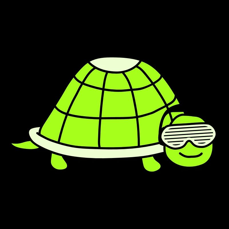 Cute Turtle Cute DJ Party Music Animal