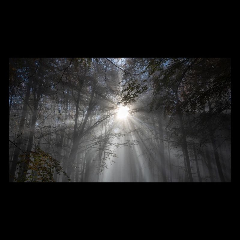 Saison du silence