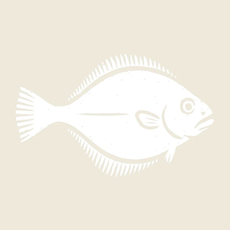 Plaice Flounder