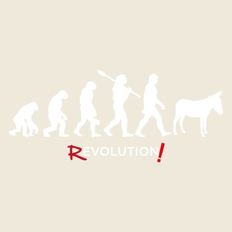 Revolution - Evolution Homme Fun Twist 17