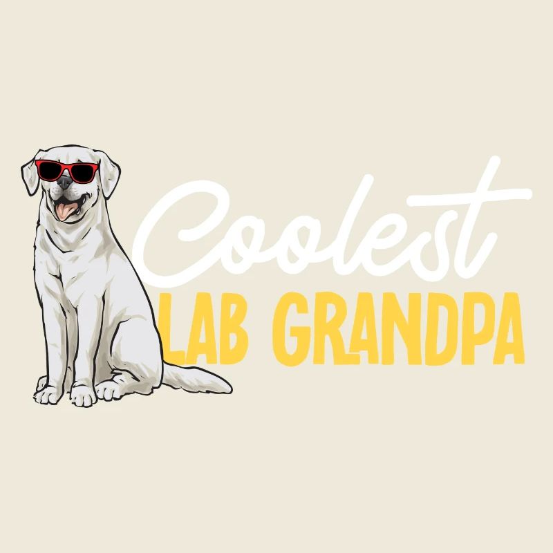 Labrador Retriever blanc Labrador Labrador blanc