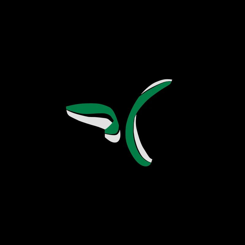 Paragliding Synchro Spiral