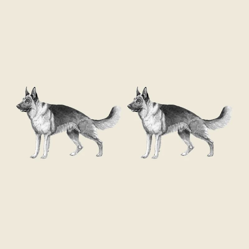 German Shepherd car