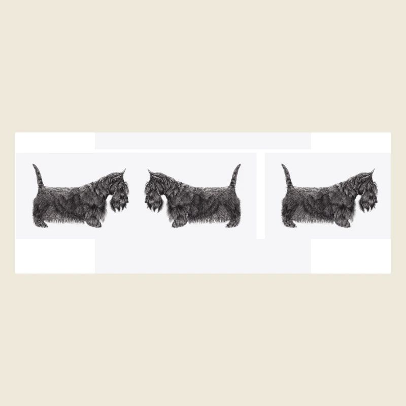 Voiture de terrier écossais