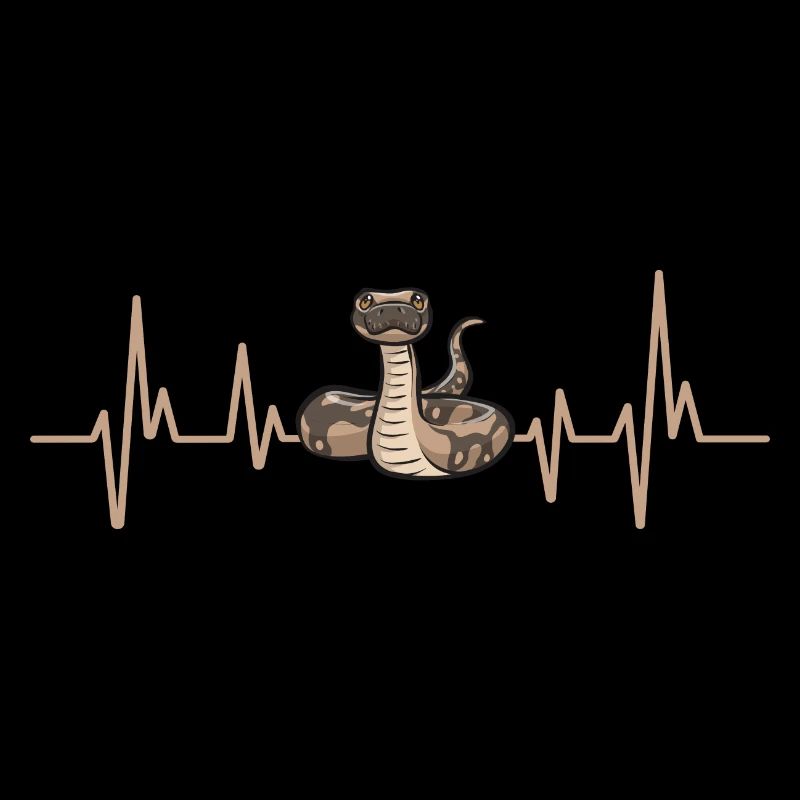 Ball Python Schlange Königspython