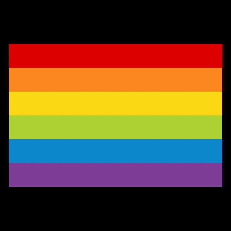 Regenbogen Flagge Fahne LGBT bunt CSD Gay Pride