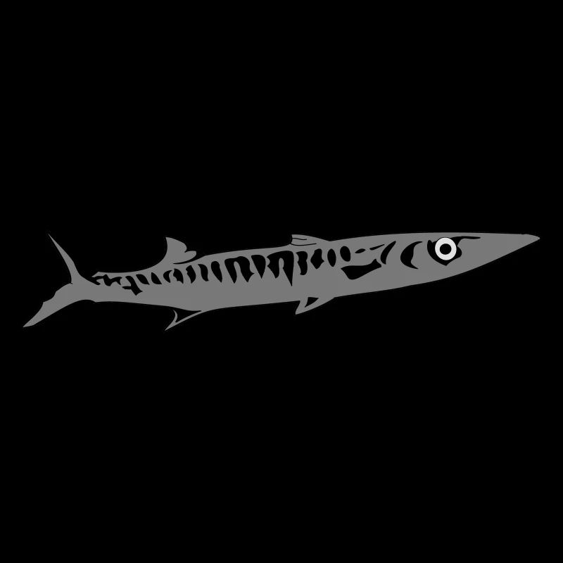 Barracuda
