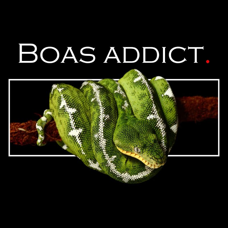 Boas addict