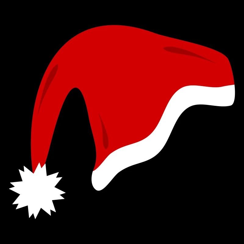 Red Christmas Hat