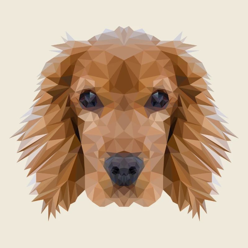 Cocker Spaniel Hund Polygondesign