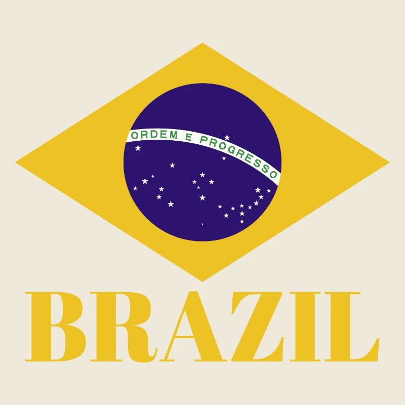 BRÉSIL BRASIL Drapeau Vintage C’est dans mon ADN Brésil