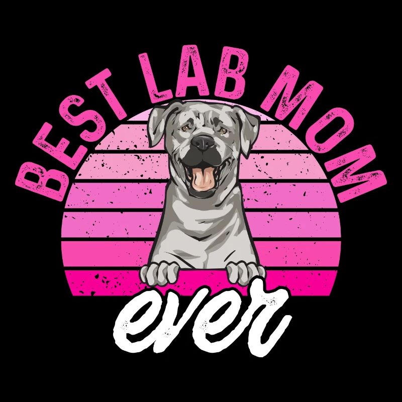 Silver Labrador Retriever Silver Lab