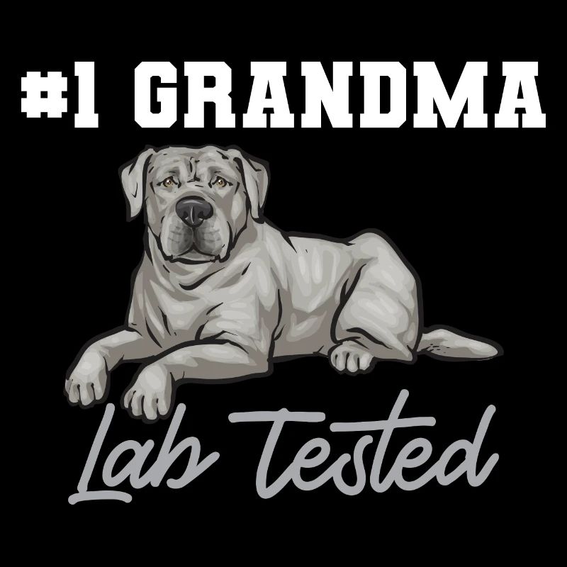 Silver Labrador Retriever Silver Lab