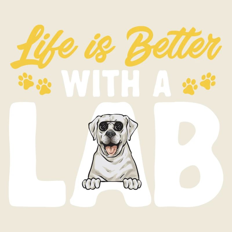 Labrador Retriever blanc Labrador Labrador blanc