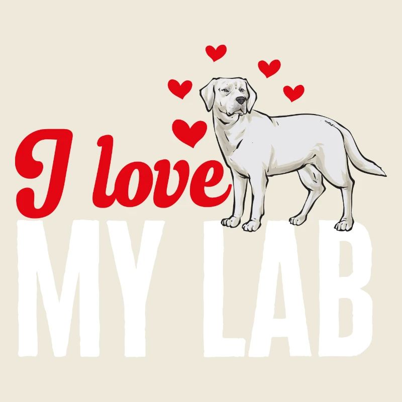 Labrador Retriever blanc Labrador Labrador blanc