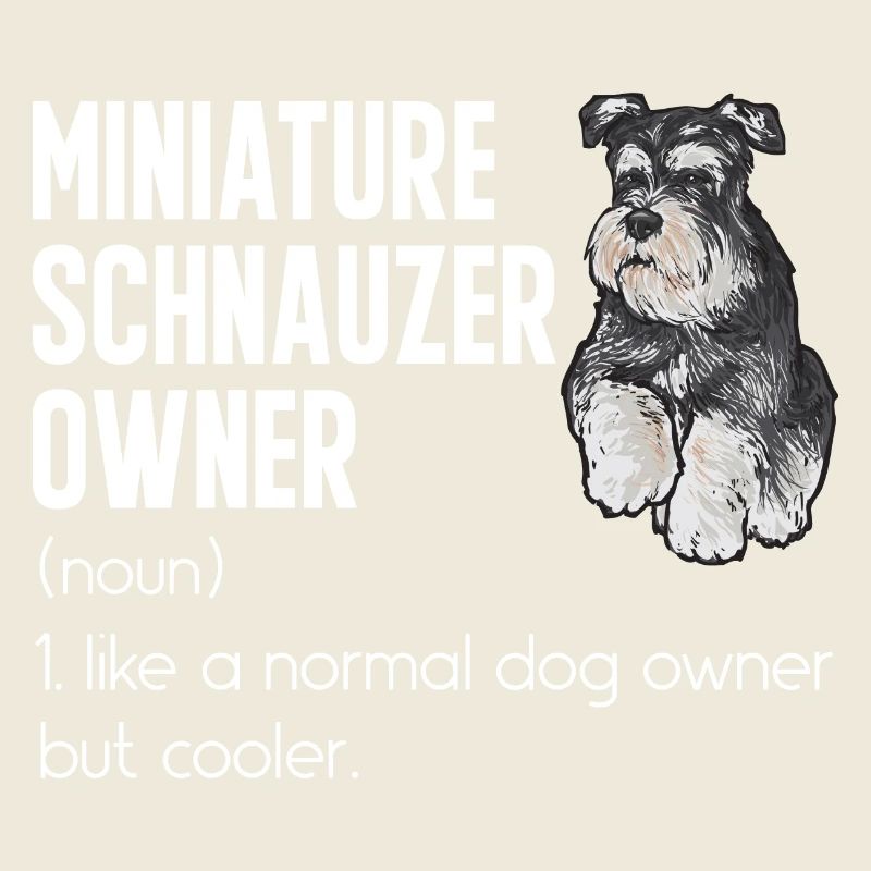 Schnauzer nain Chien Schnauzer
