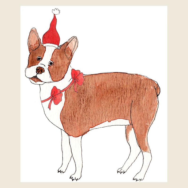 boston terrier christmas