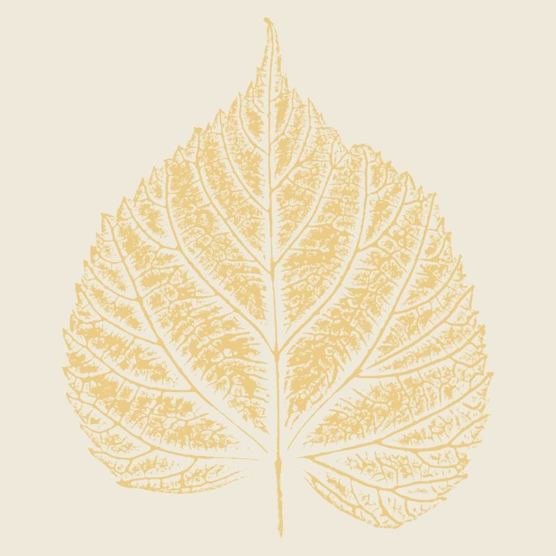 Linden leaf / Linden leaf 2