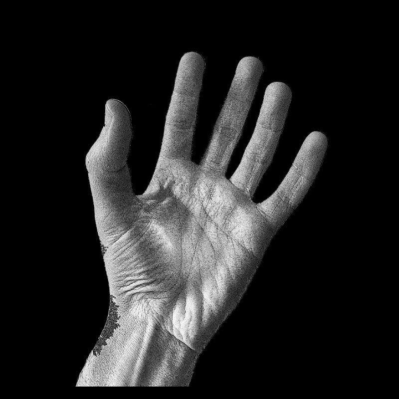 Schwarz-weiße Handfläche