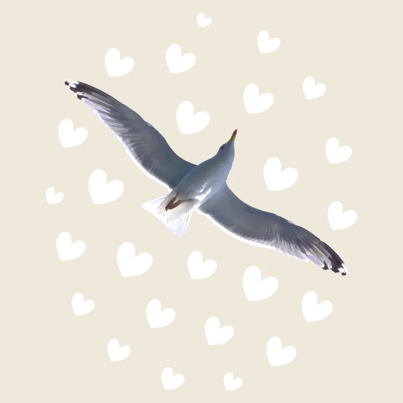 Möwe im Flug frei sein wie ein Vogel