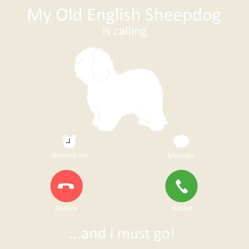 Altenglischer Schäferhund ruft Telefonbildschirm