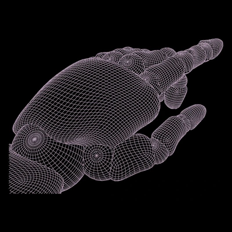 Geometric Hand Silhouette with Fractals