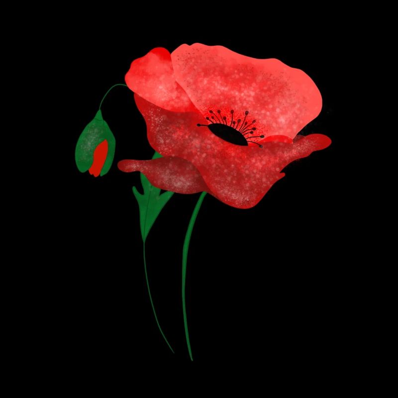 Éclosion de coquelicot