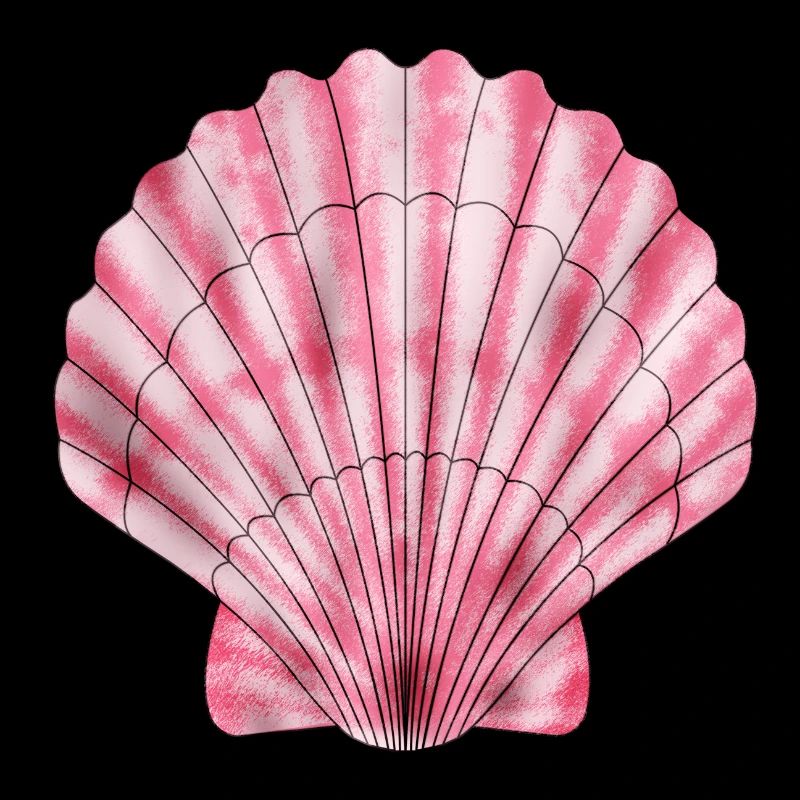 Pink scallop