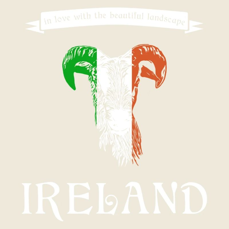 Irlande Irlande Moutons d’Irlande
