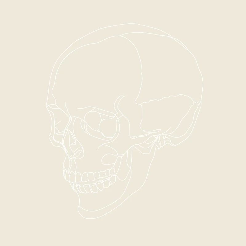 Totenkopf - Schädel - Skelett - eine Linie