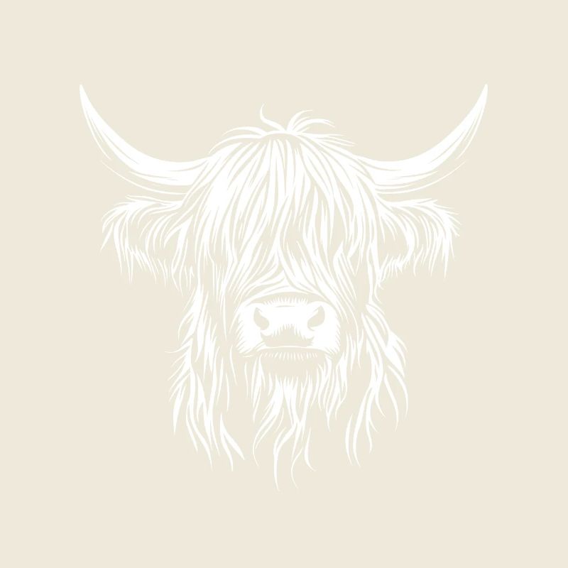 Scottish Highland Cattle - Cow - Cattle Breeding