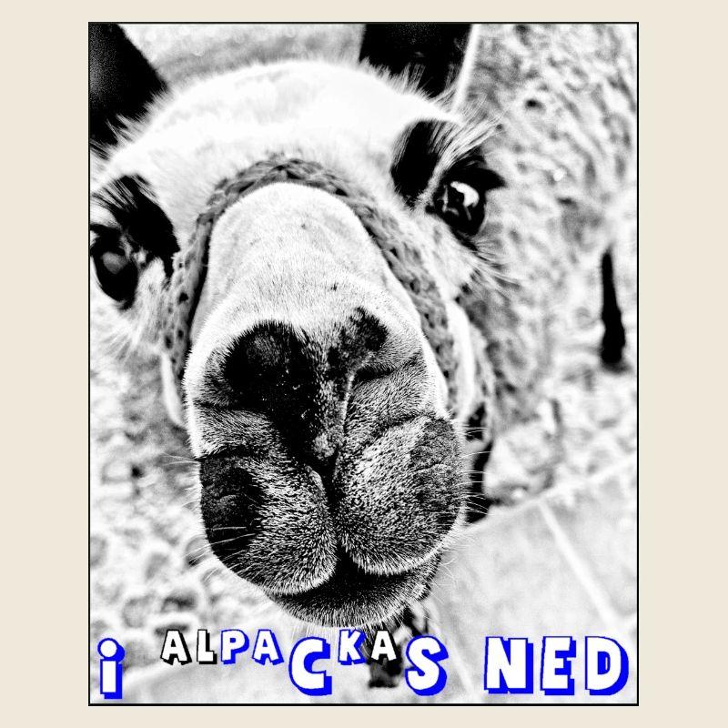 ALPACA, i packs ned, I don't pack that, puns