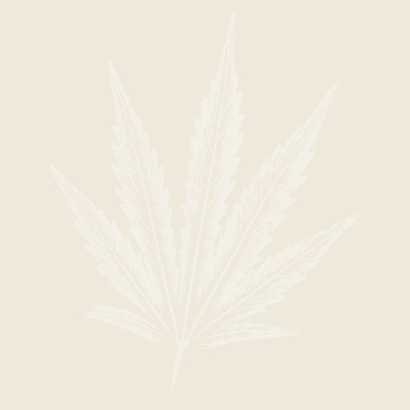 Feuille de cannabis - BLANC