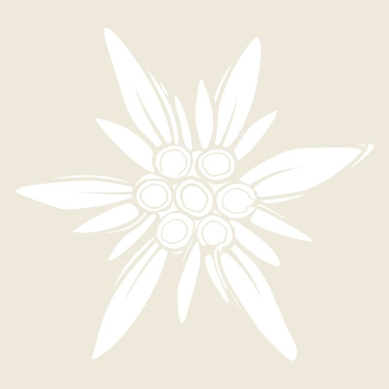 Edelweiss – Inspiring Mountain Flower