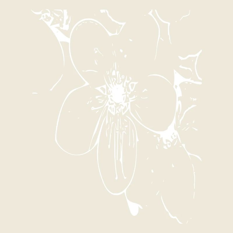 Fleur abstraite / Ligne / Motif / Nature / Blanc