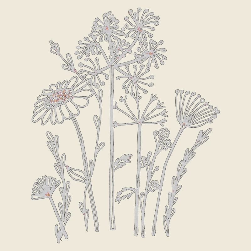 Dried flowers