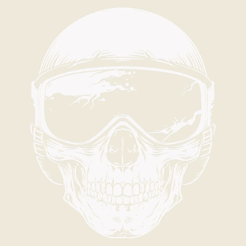 Lunettes de motard Skull