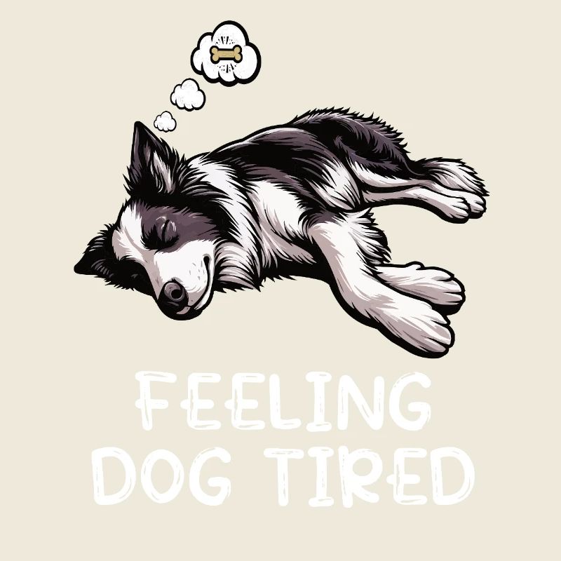 Feeling Dog Tired Border Collie Colliebesitzer 