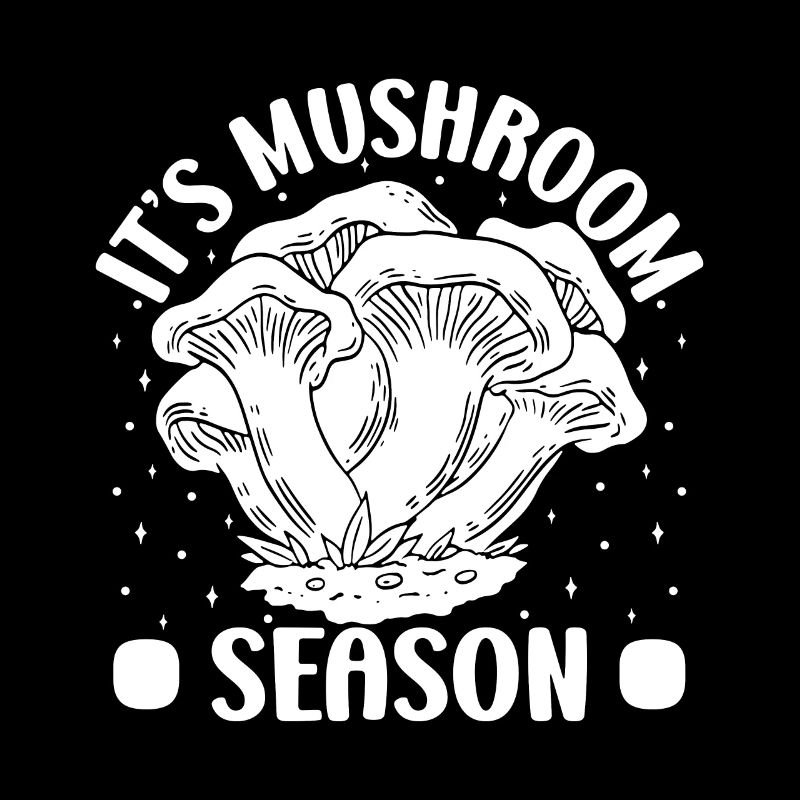Morilles Champignons de saison