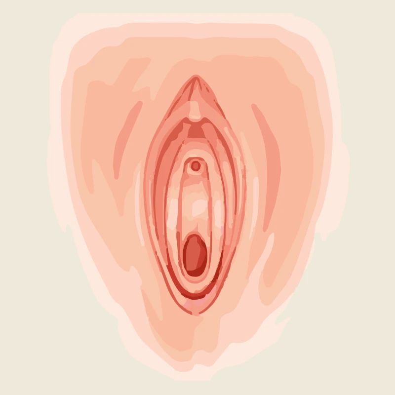 Vagina