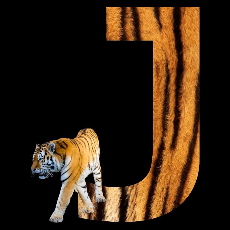 tiger j
