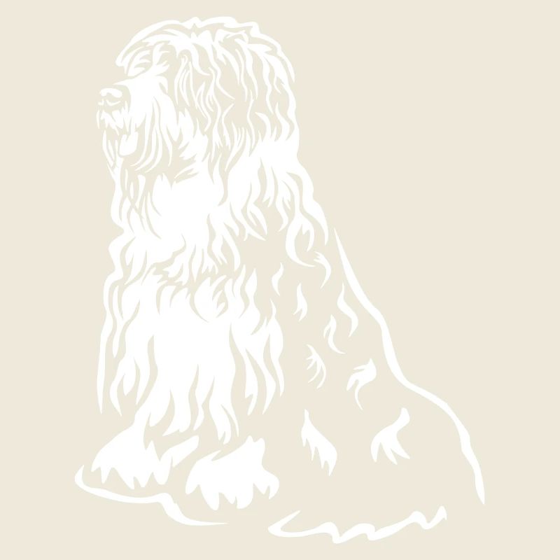 Bobtail « Black Edition »